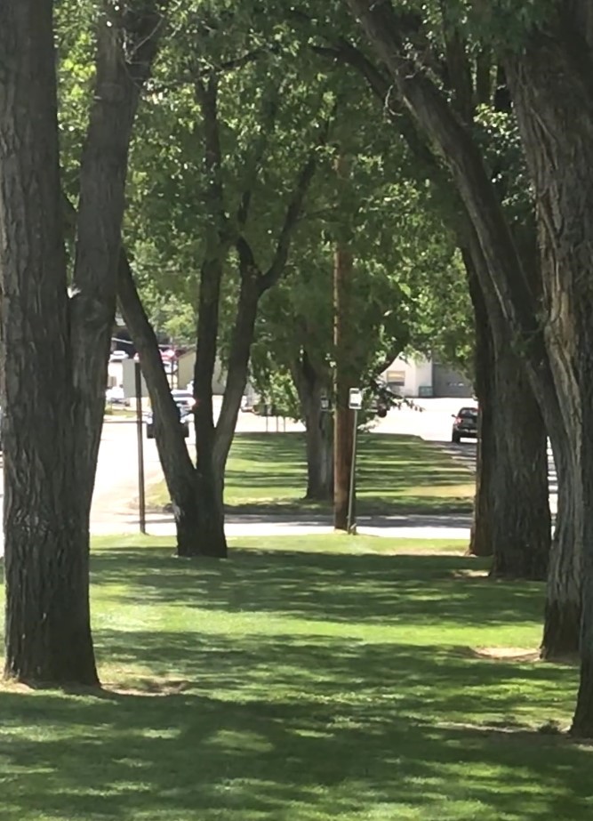 Montezuma County APS visual