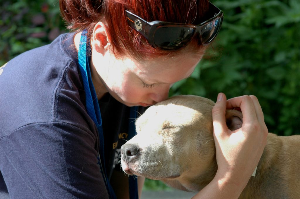volunteer holds a dog during an evacuation.